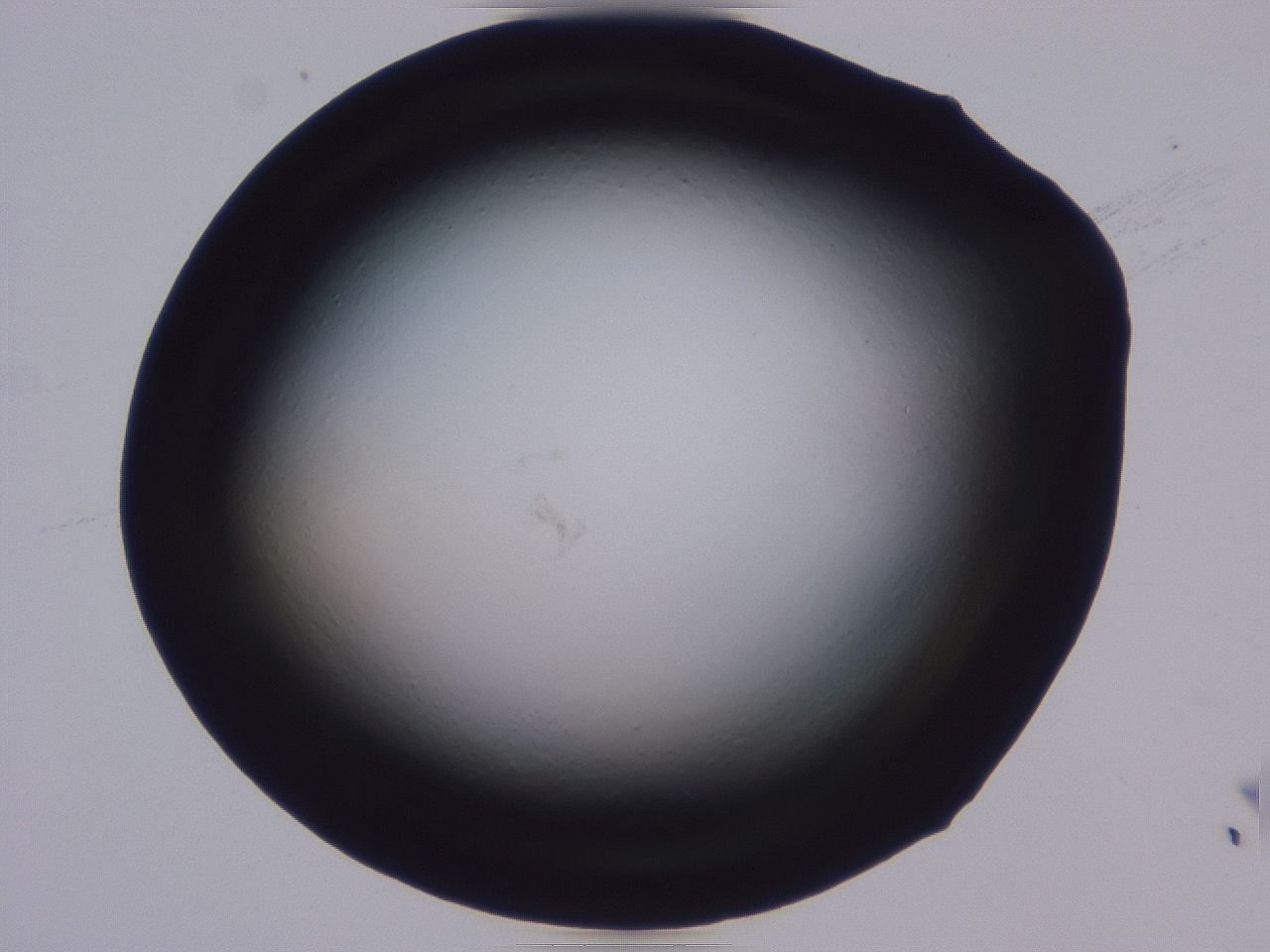0508_B6_ImagerDefaults_0.jpg