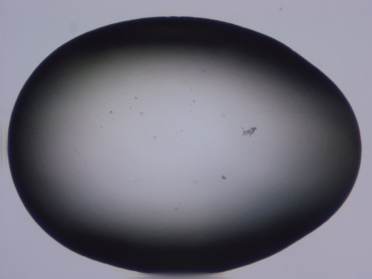 0508_B8_ImagerDefaults_0.jpg