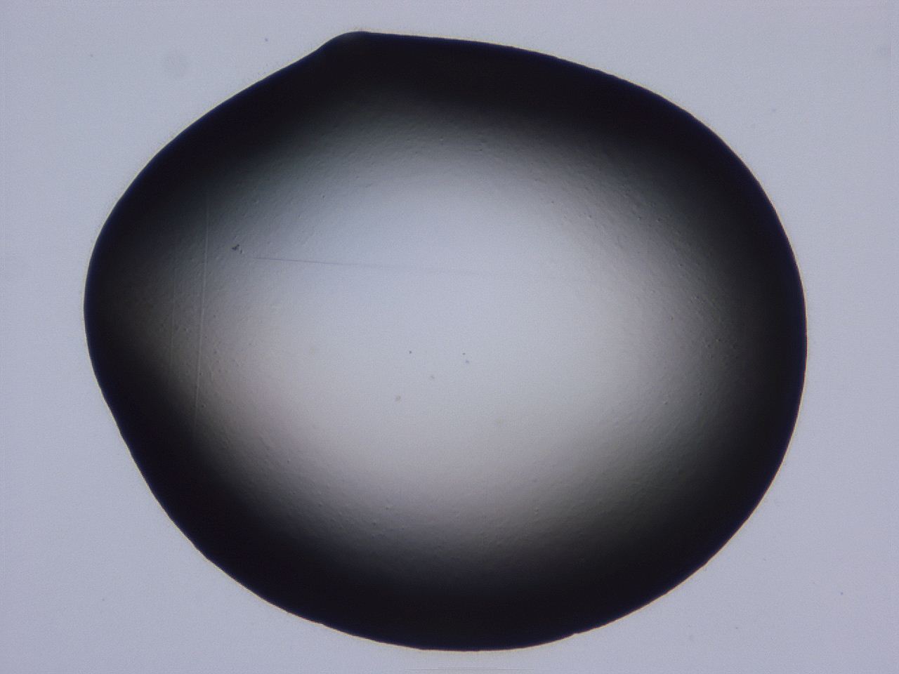 0508_B10_ImagerDefaults_0.jpg