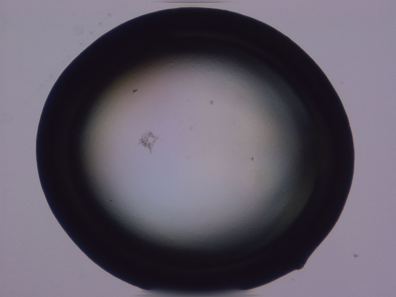 0508_C2_ImagerDefaults_0.jpg