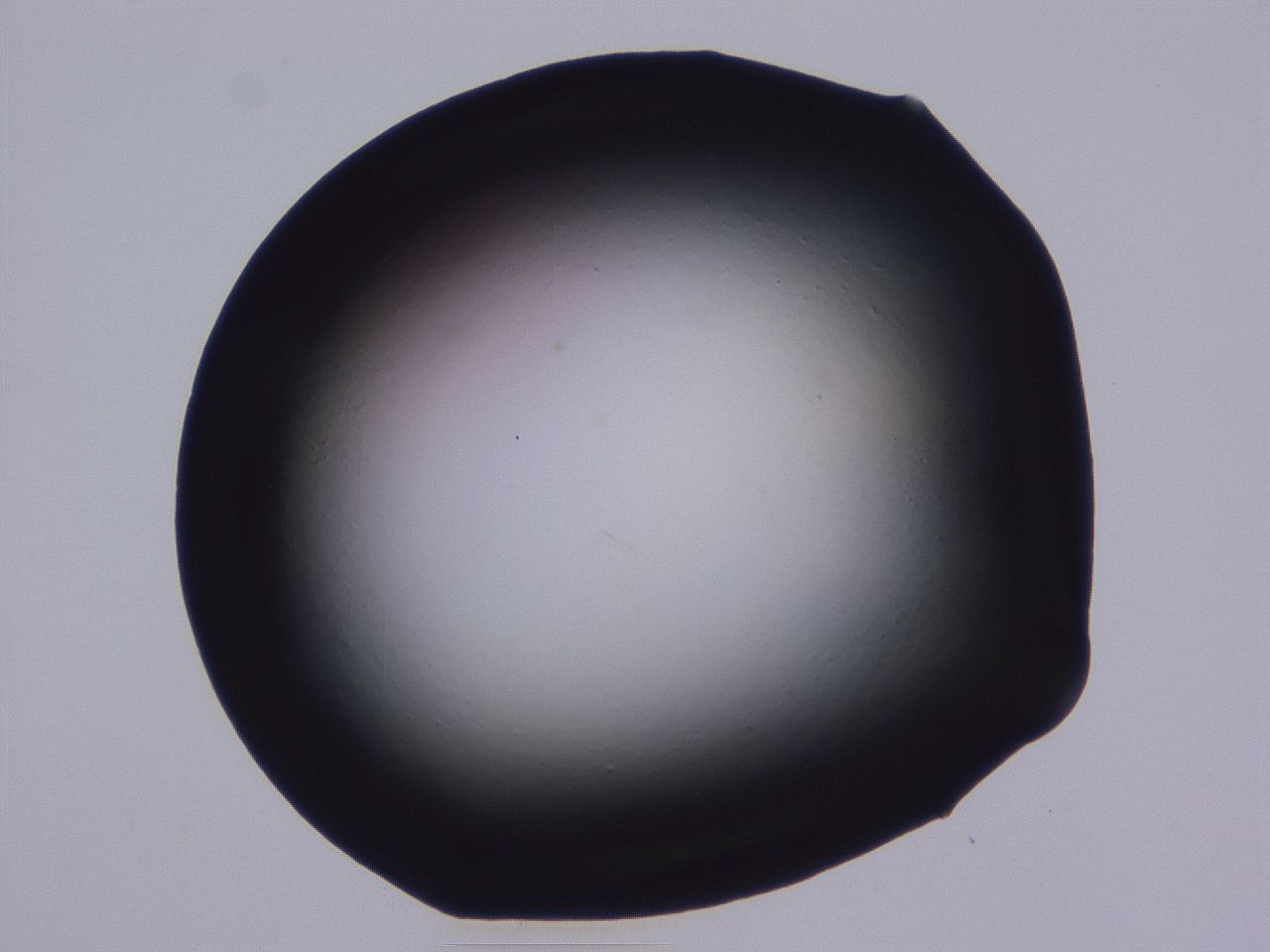 0508_C4_ImagerDefaults_0.jpg