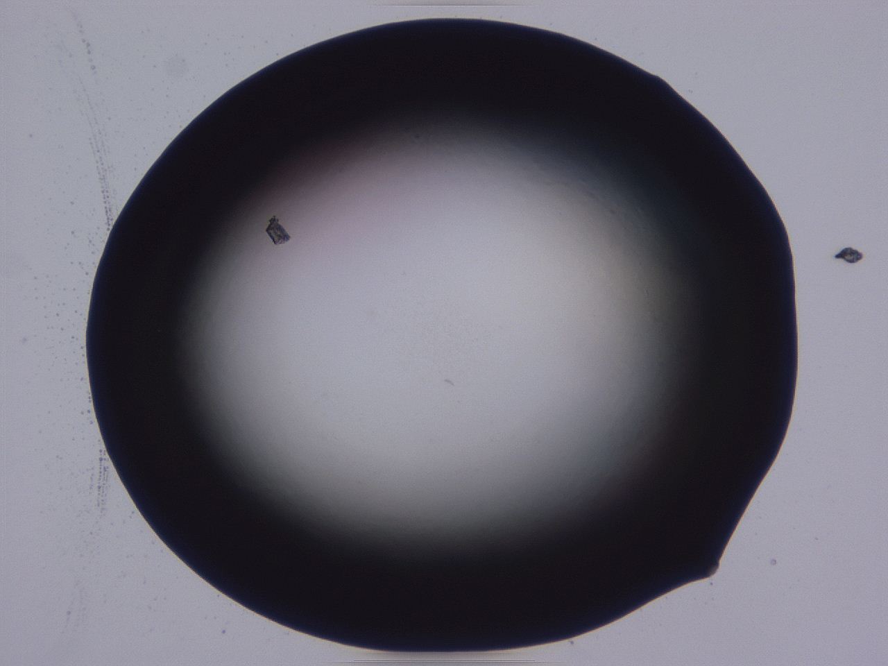 0508_C5_ImagerDefaults_0.jpg