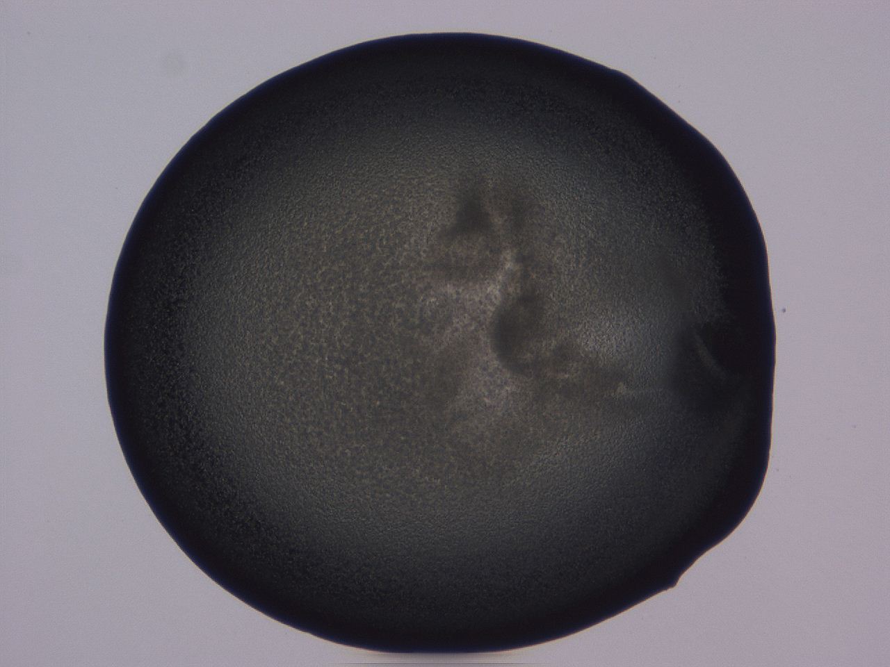 0508_C6_ImagerDefaults_3.jpg