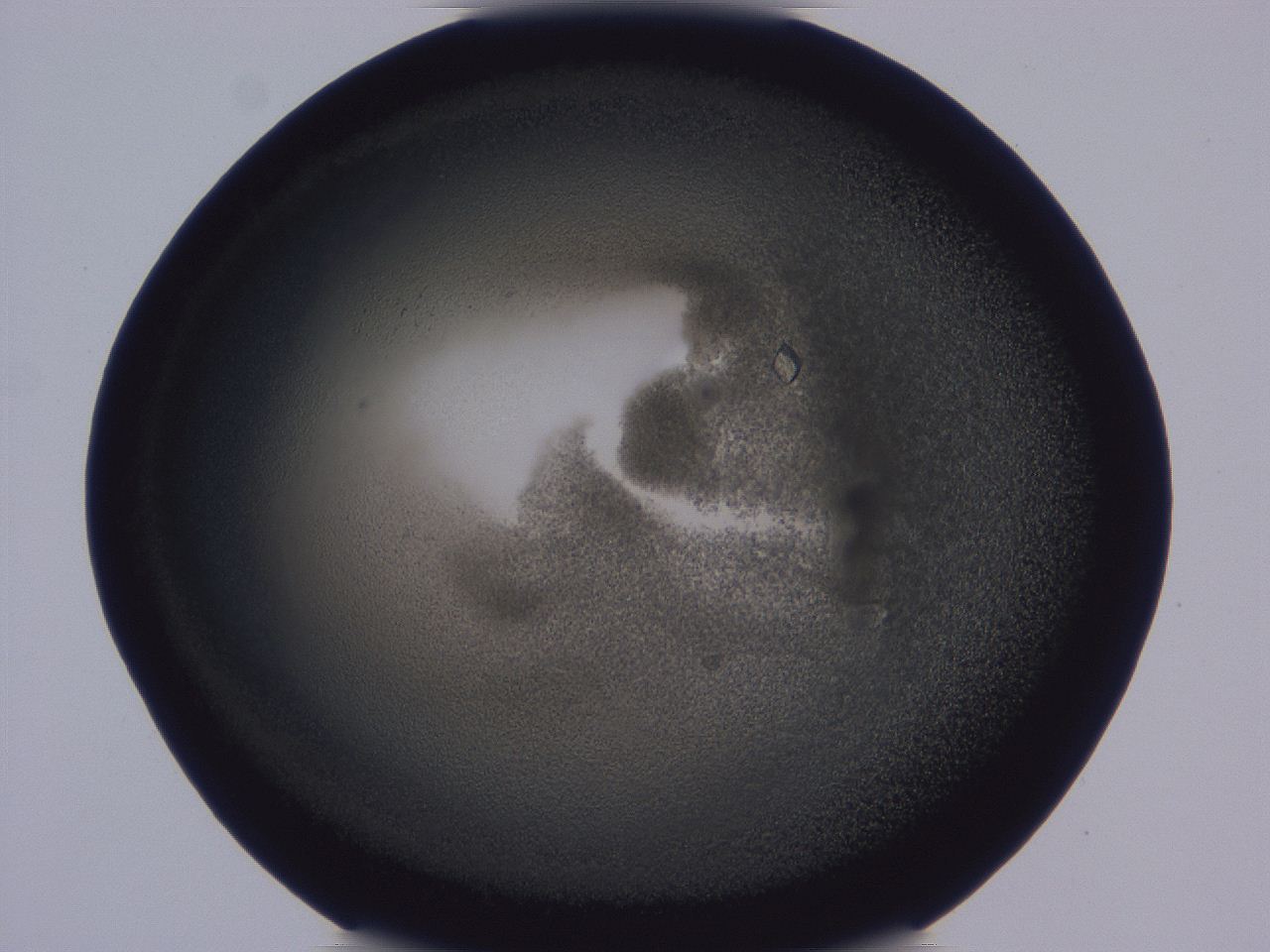 0508_C7_ImagerDefaults_9.jpg