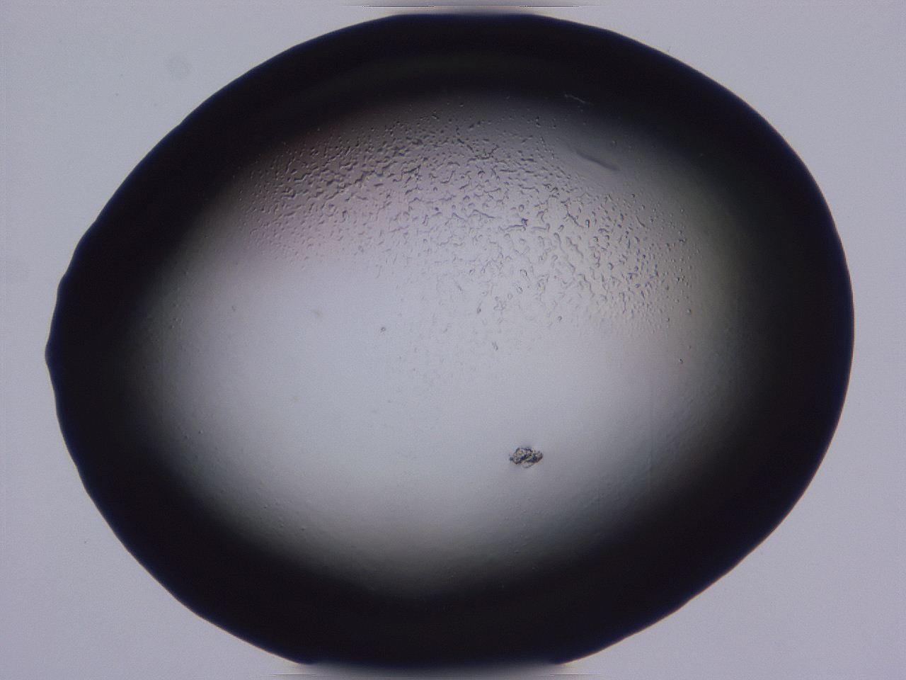 0508_C9_ImagerDefaults_0.jpg