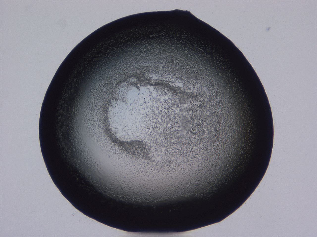 0508_D1_ImagerDefaults_3.jpg