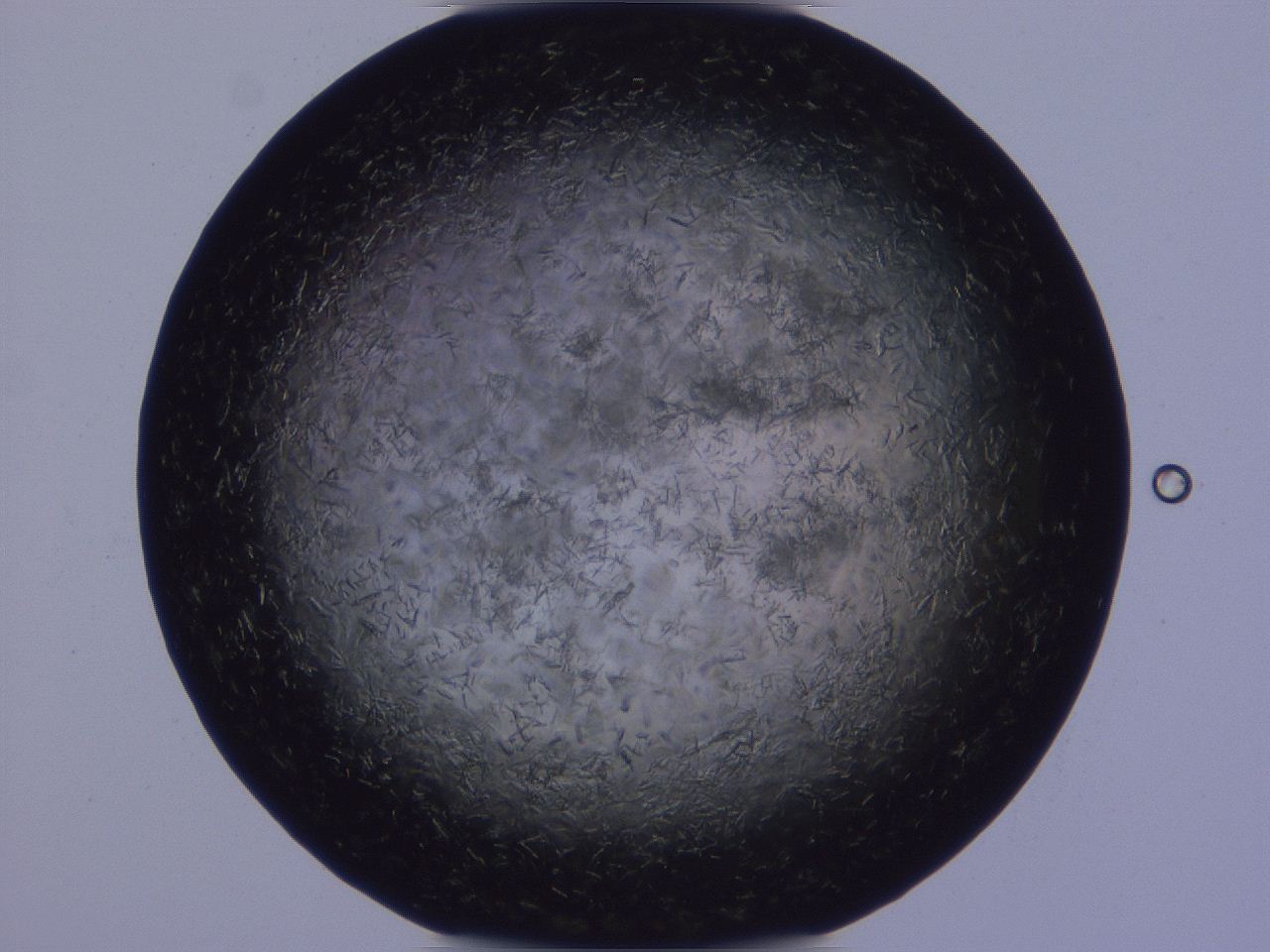 0508_D2_ImagerDefaults_9.jpg