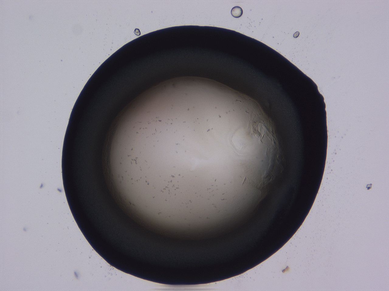 0508_D3_ImagerDefaults_0.jpg
