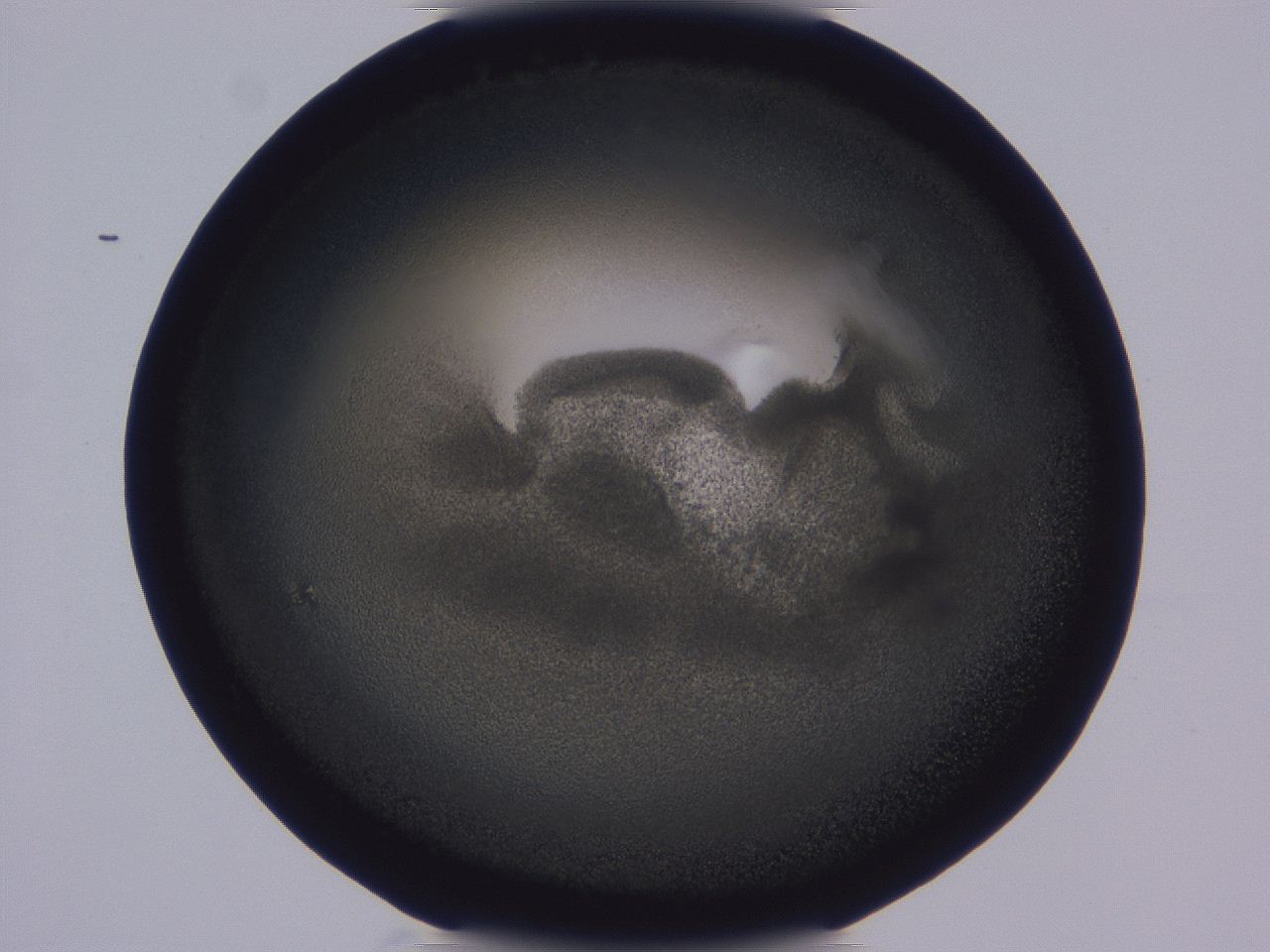 0508_D7_ImagerDefaults_3.jpg