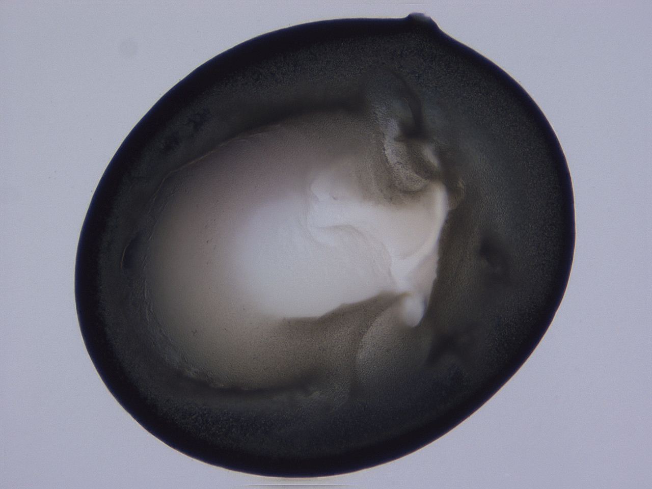0508_D9_ImagerDefaults_3.jpg