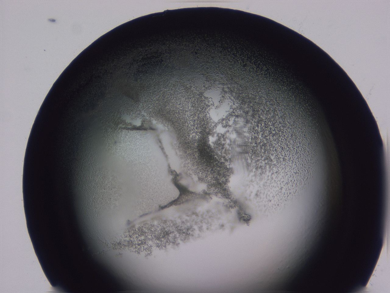 0508_E1_ImagerDefaults_3.jpg