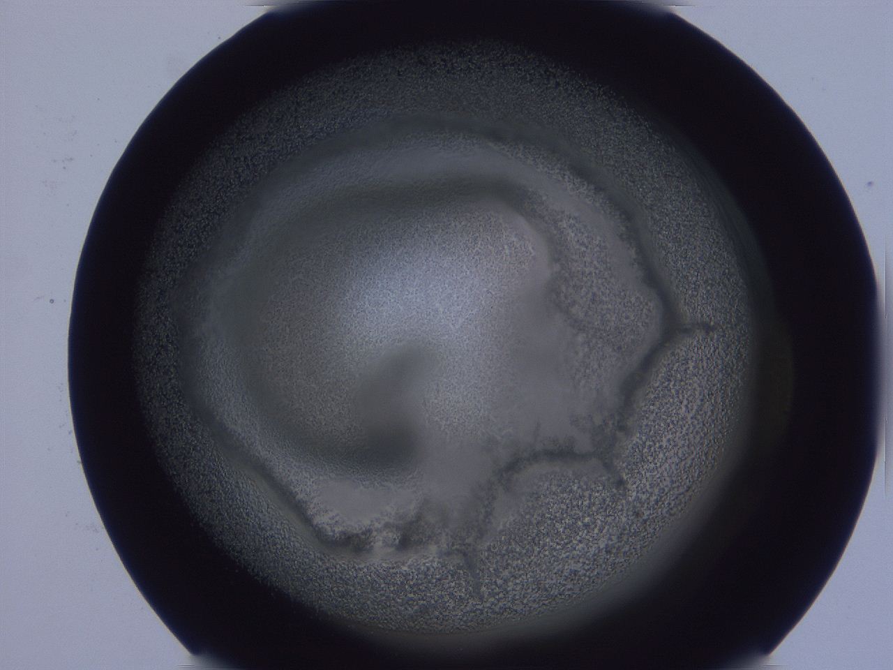0508_E2_ImagerDefaults_3.jpg