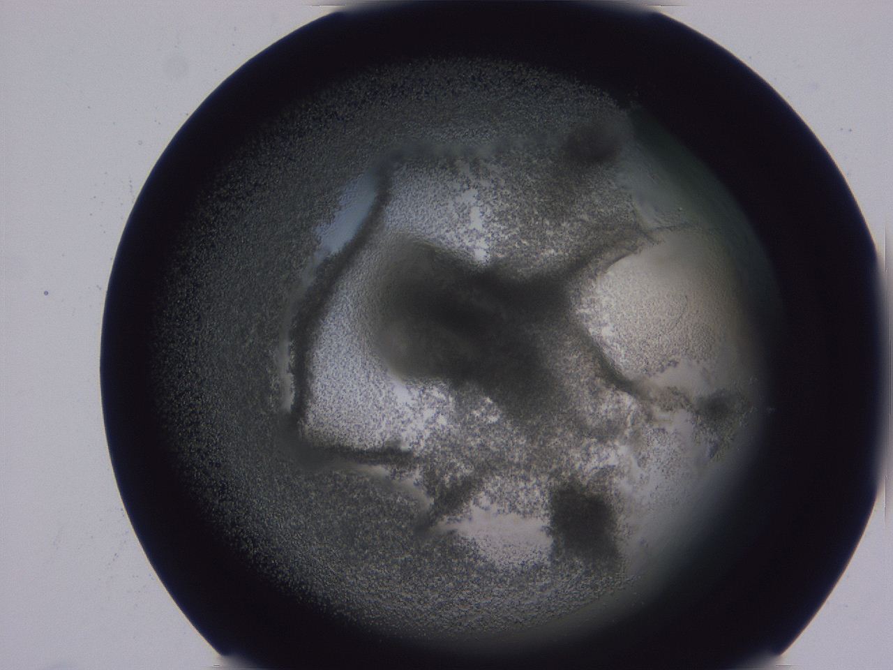 0508_E4_ImagerDefaults_3.jpg