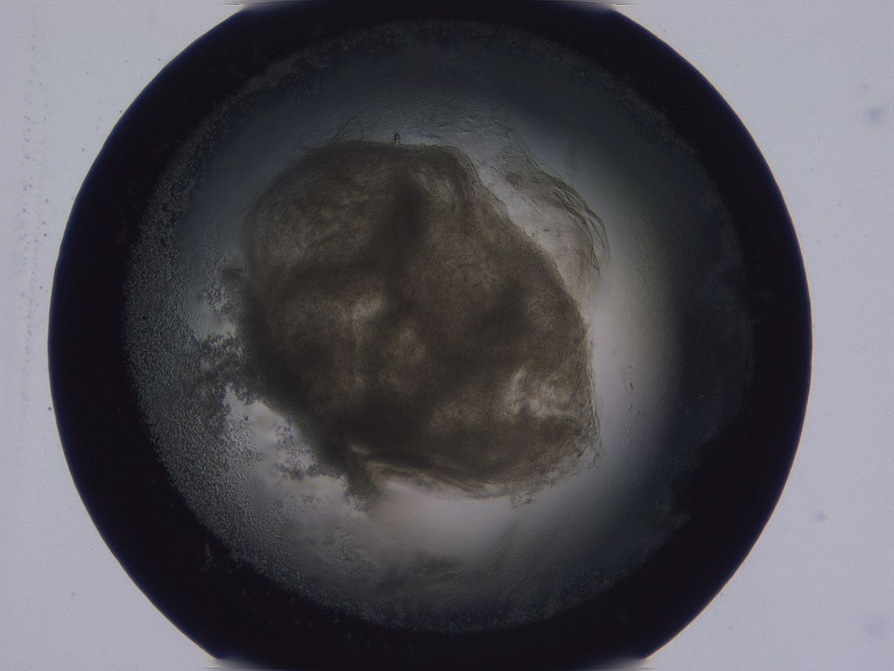 0508_E5_ImagerDefaults_3.jpg