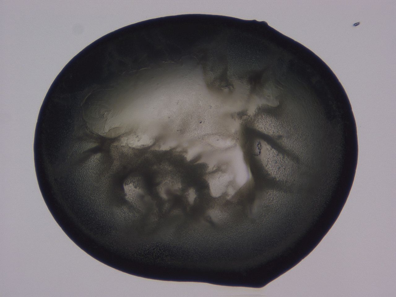 0508_F1_ImagerDefaults_3.jpg