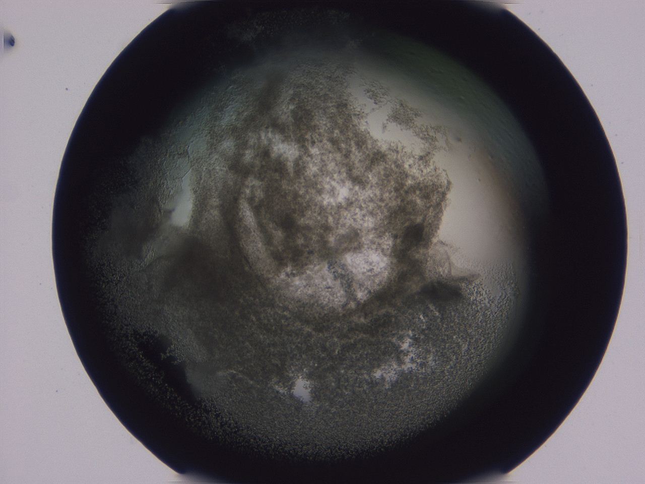 0508_F4_ImagerDefaults_3.jpg