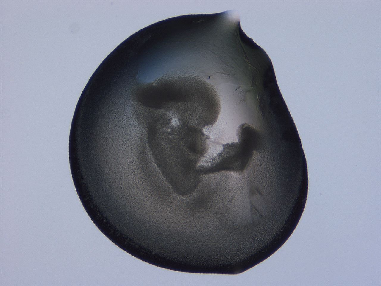 0508_F6_ImagerDefaults_3.jpg