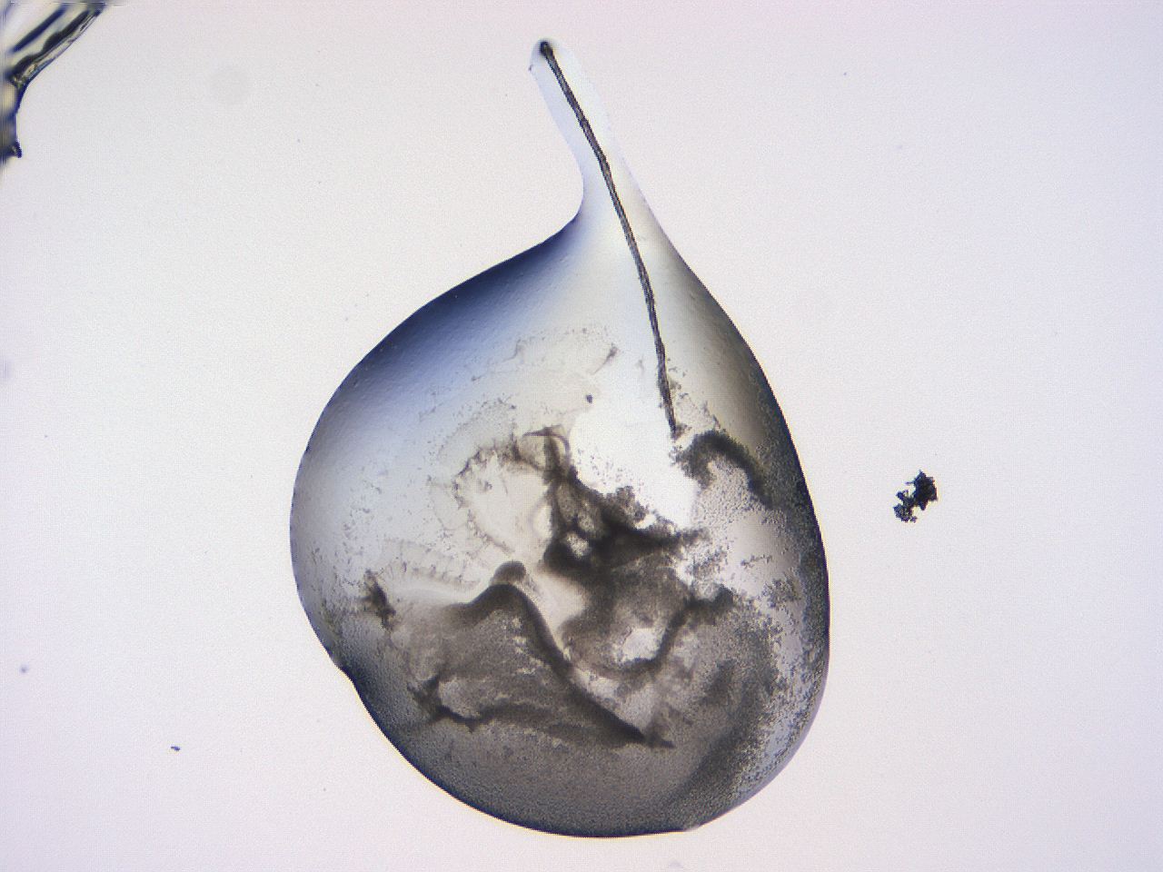 0508_F7_ImagerDefaults_3.jpg