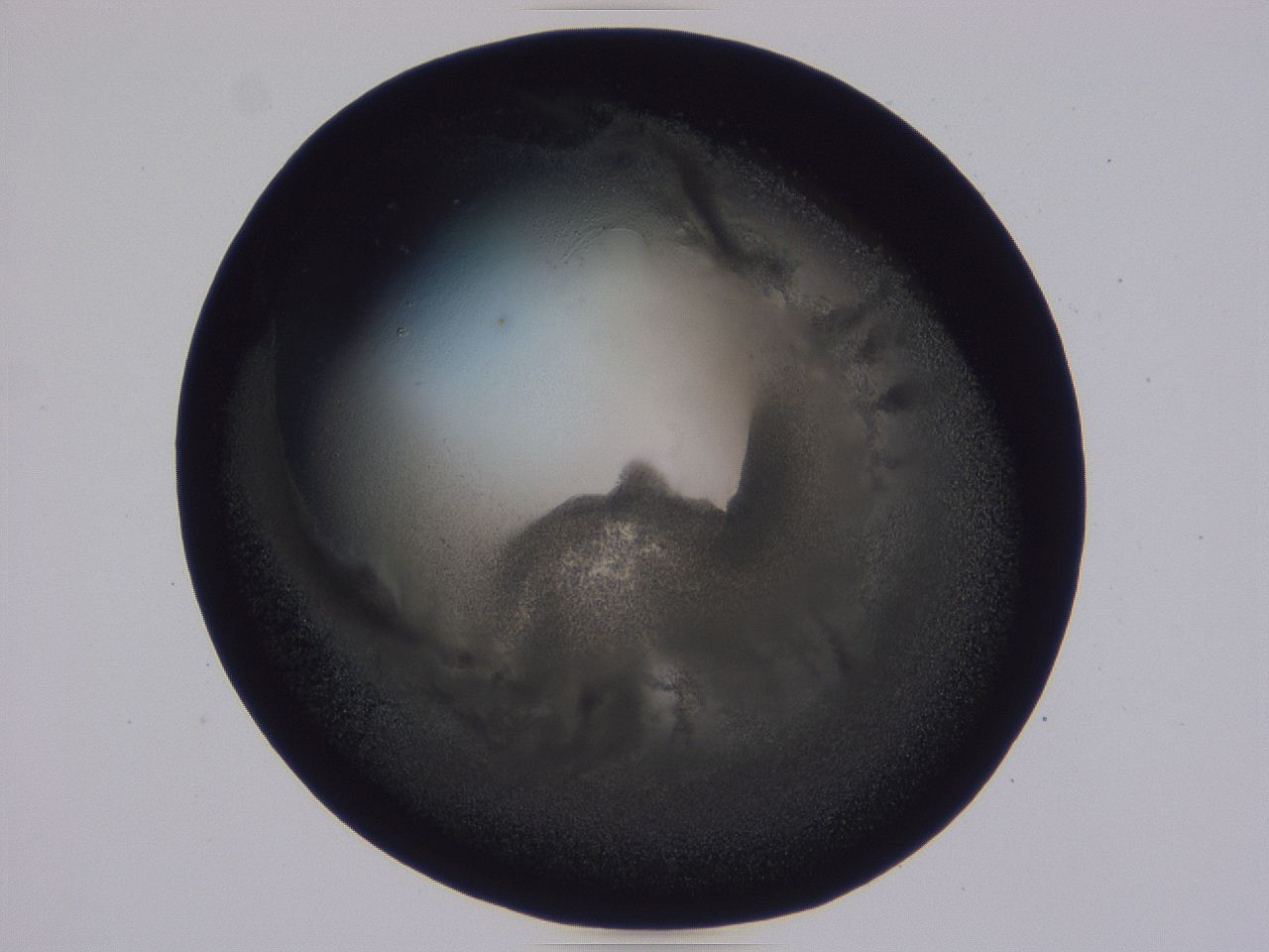 0508_F8_ImagerDefaults_3.jpg