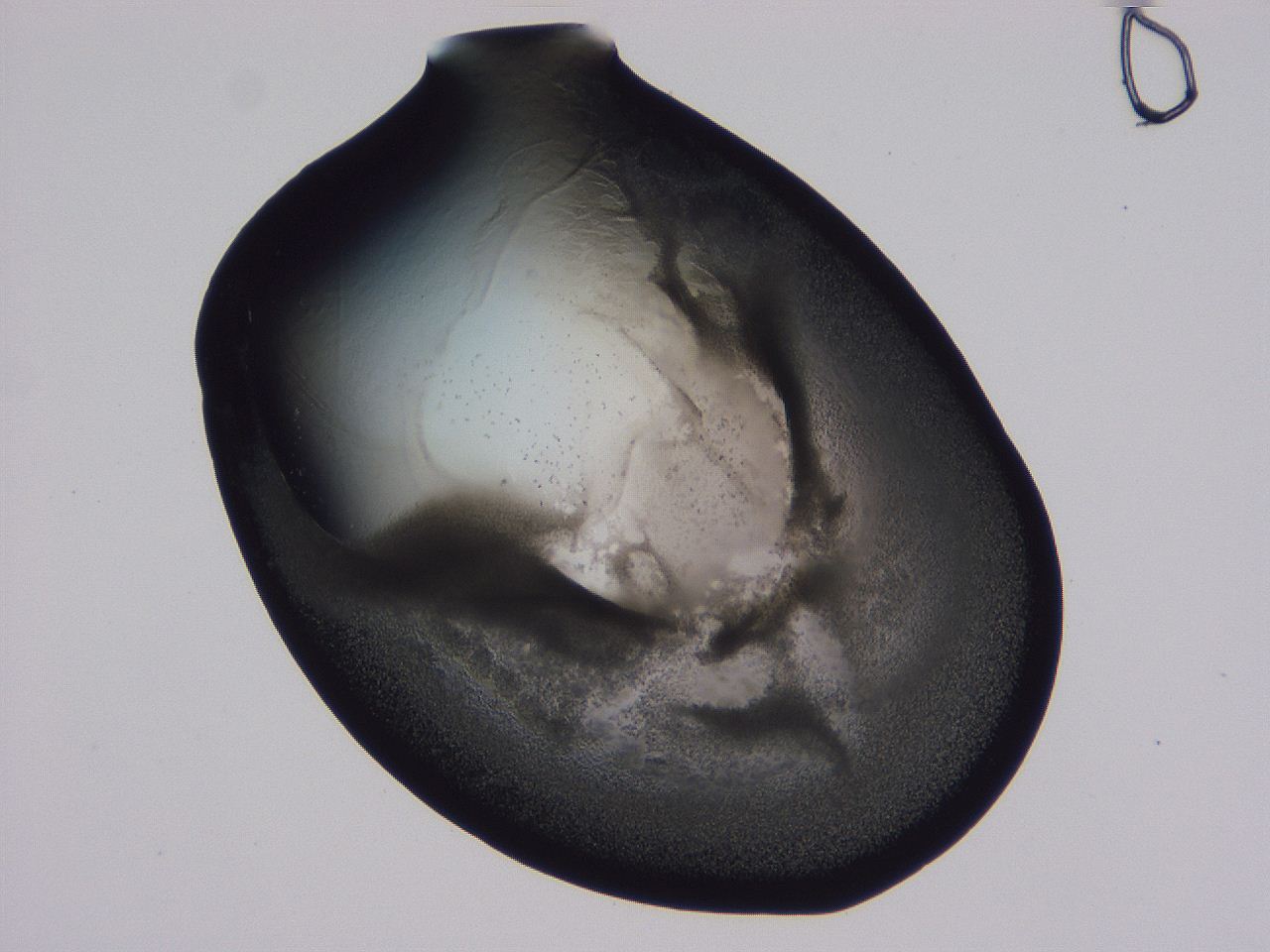 0508_F9_ImagerDefaults_3.jpg