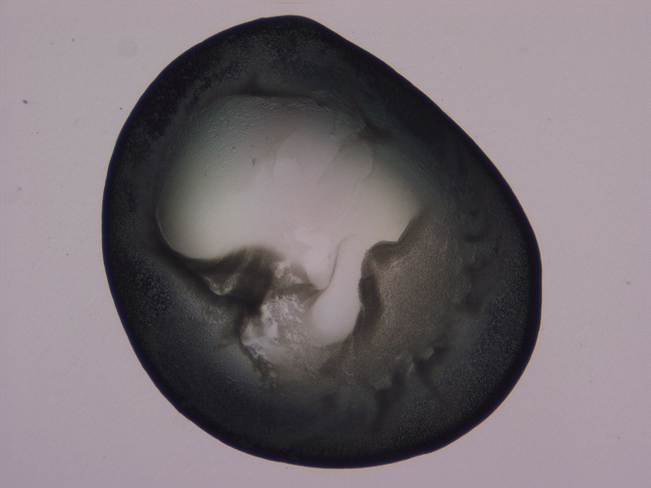 0508_F11_ImagerDefaults_3.jpg