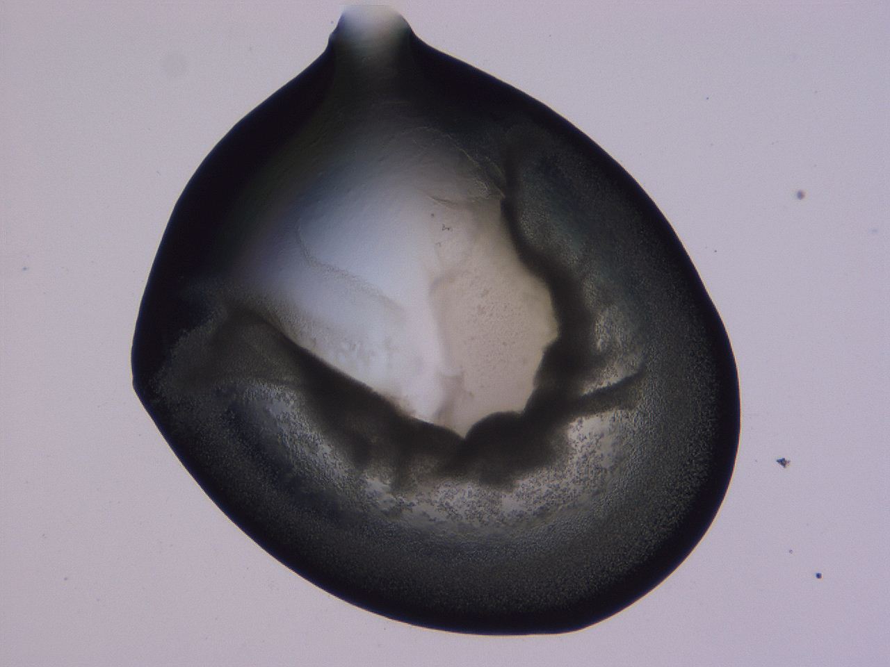 0508_F12_ImagerDefaults_3.jpg