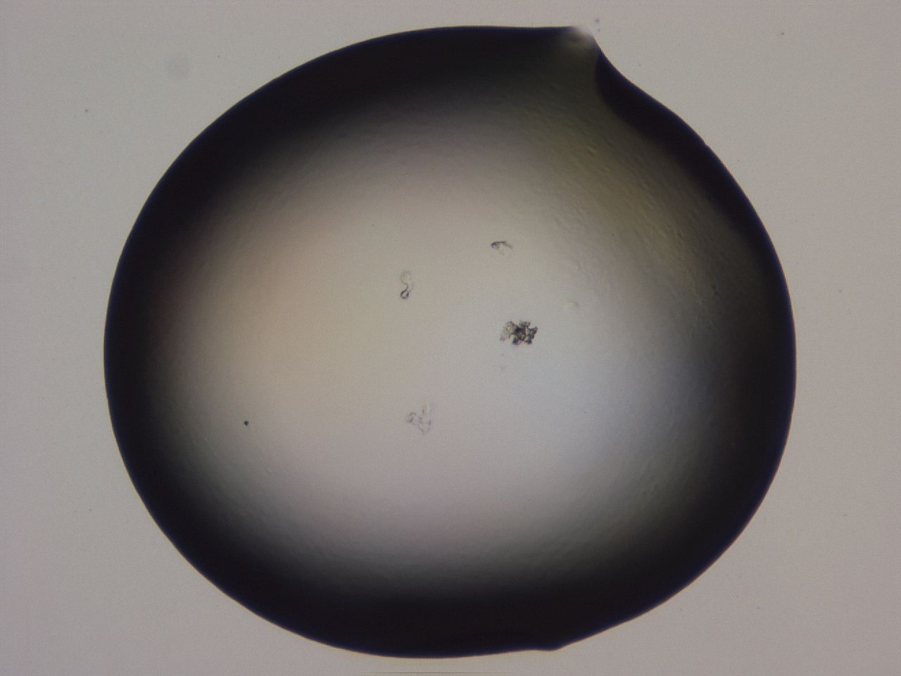 0508_G2_ImagerDefaults_0.jpg