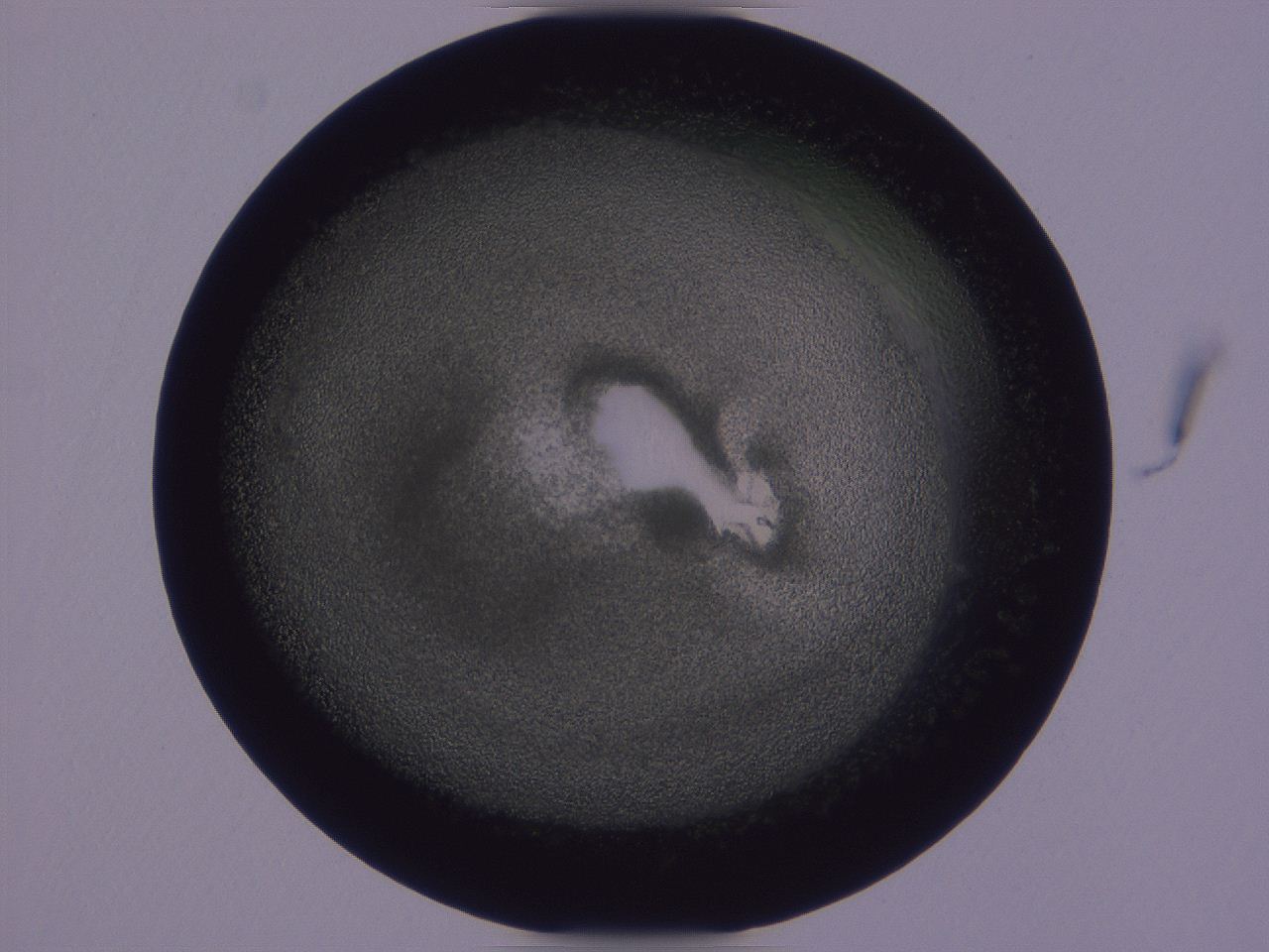 0508_G3_ImagerDefaults_3.jpg