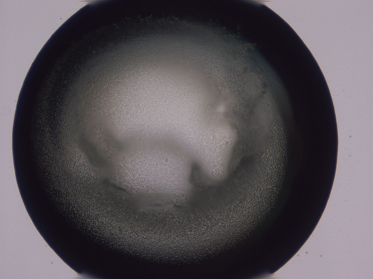 0508_G4_ImagerDefaults_3.jpg