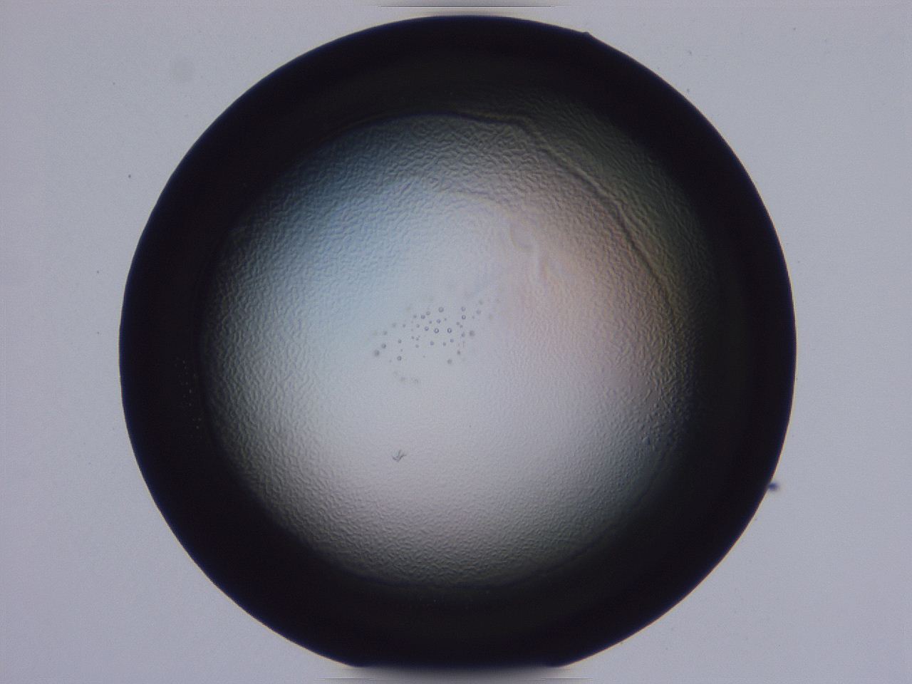0508_G5_ImagerDefaults_2.jpg
