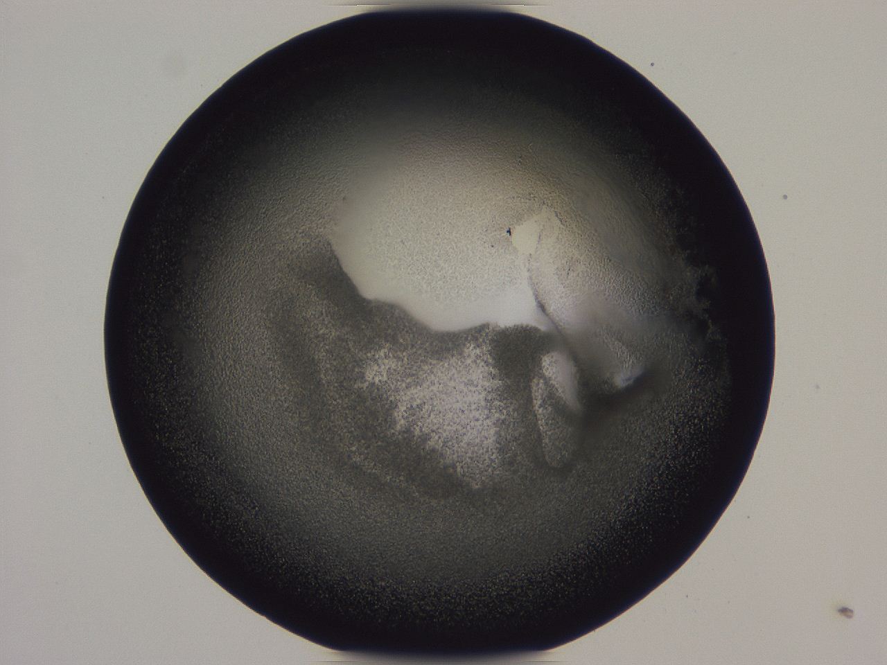 0508_G6_ImagerDefaults_3.jpg