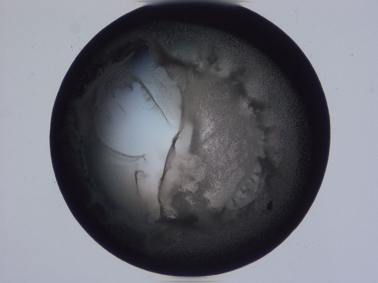 0508_G9_ImagerDefaults_3.jpg