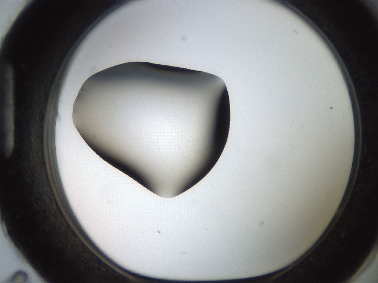 folderID247_plateID2247_batchID10212_wellNum95_profileID1_d1_r155255_ef.jpg
