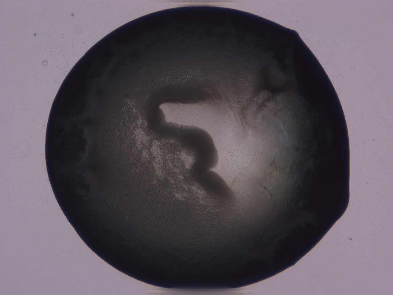 0508_H2_ImagerDefaults_3.jpg