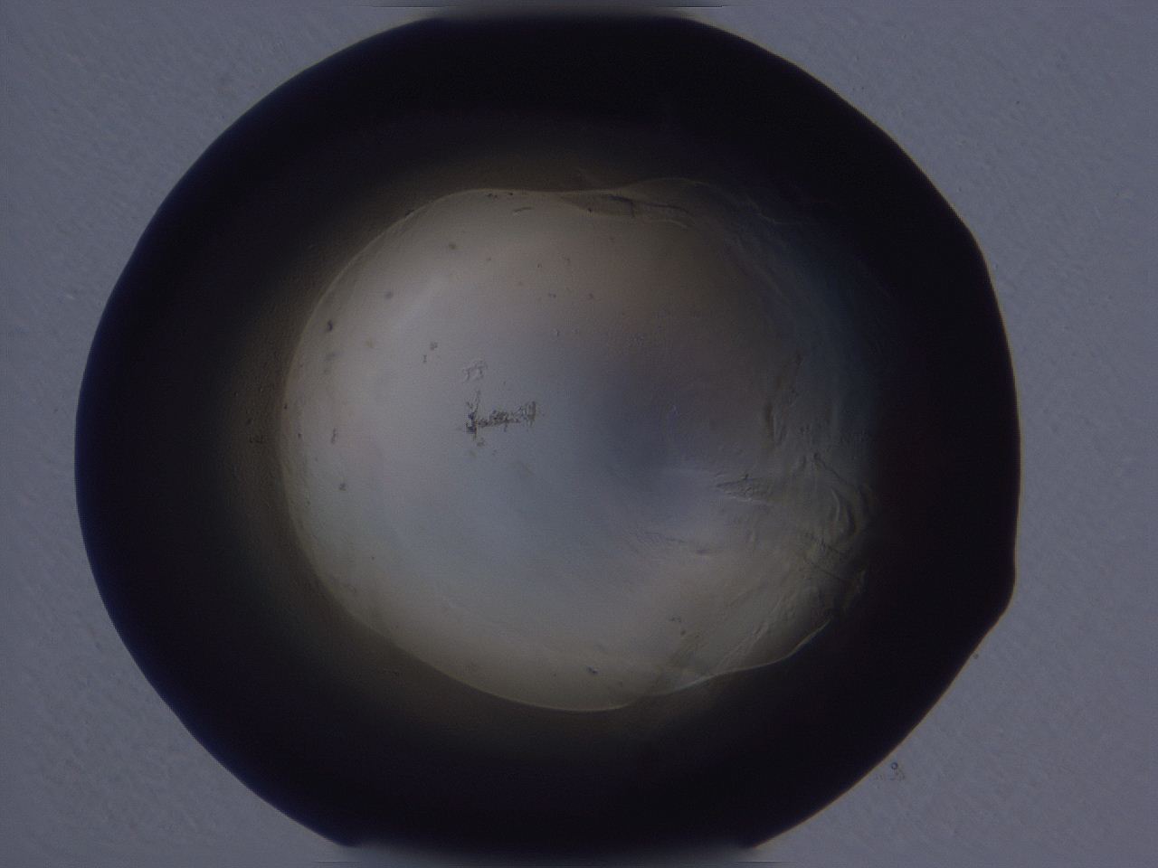 0508_H5_ImagerDefaults_3.jpg