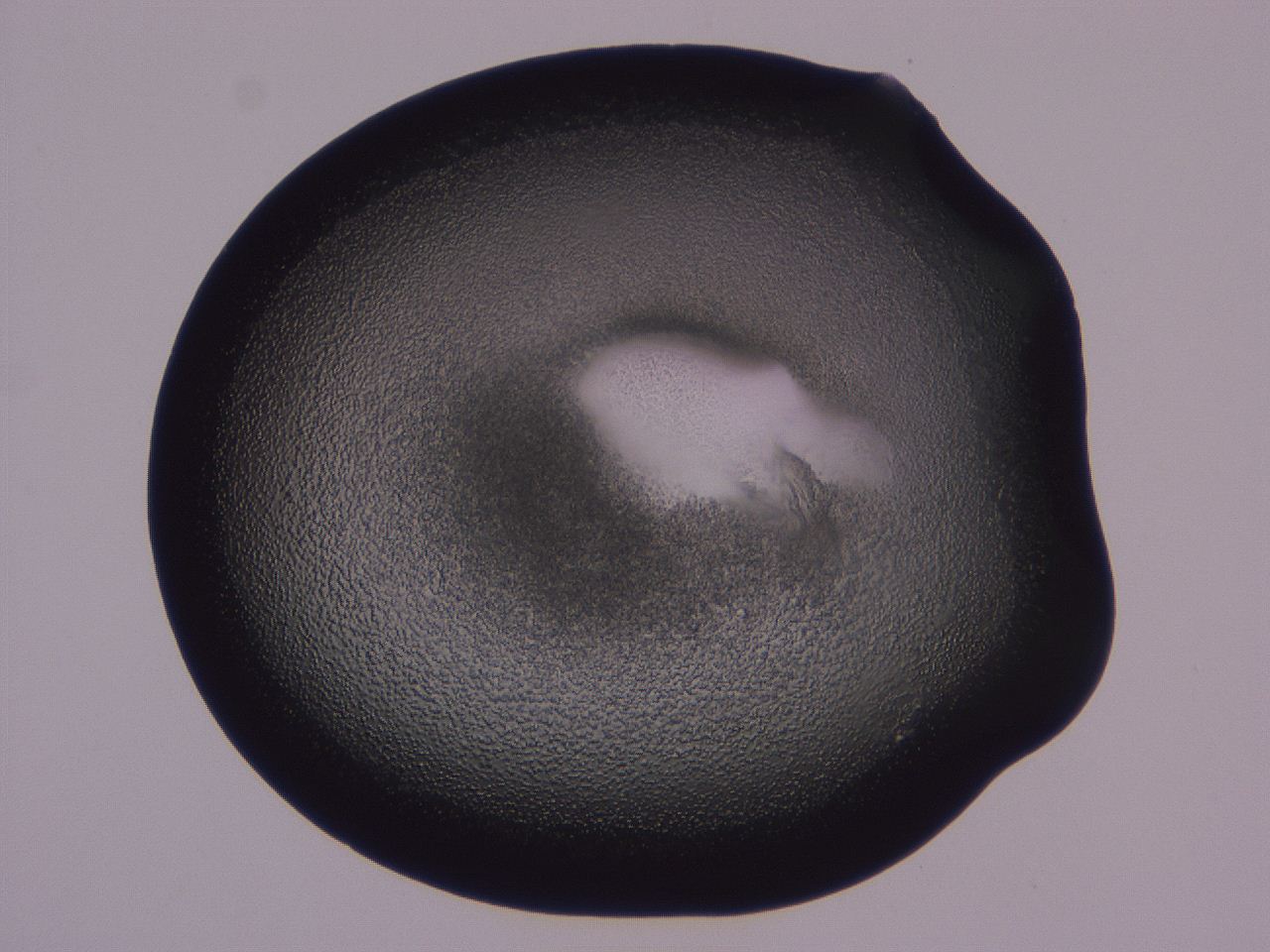 0508_H6_ImagerDefaults_3.jpg
