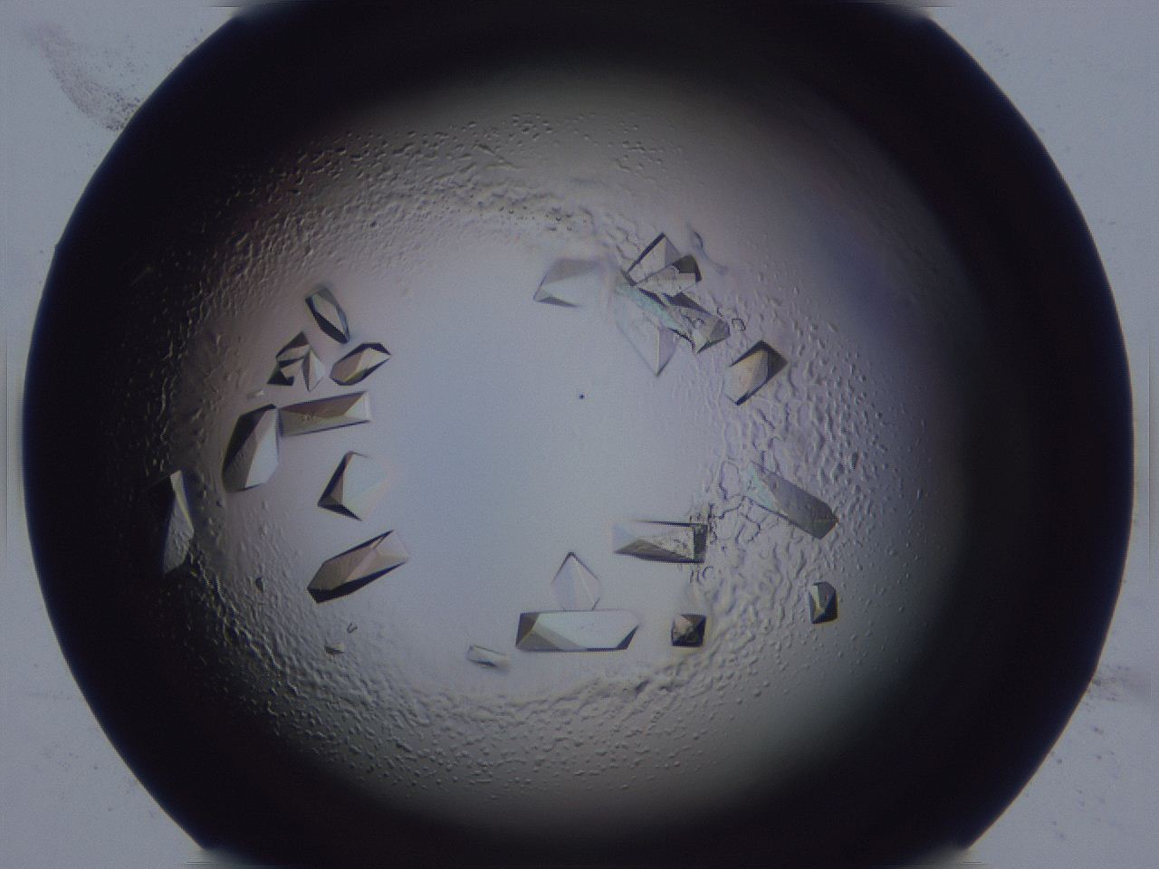 0508_H11_ImagerDefaults_9.jpg