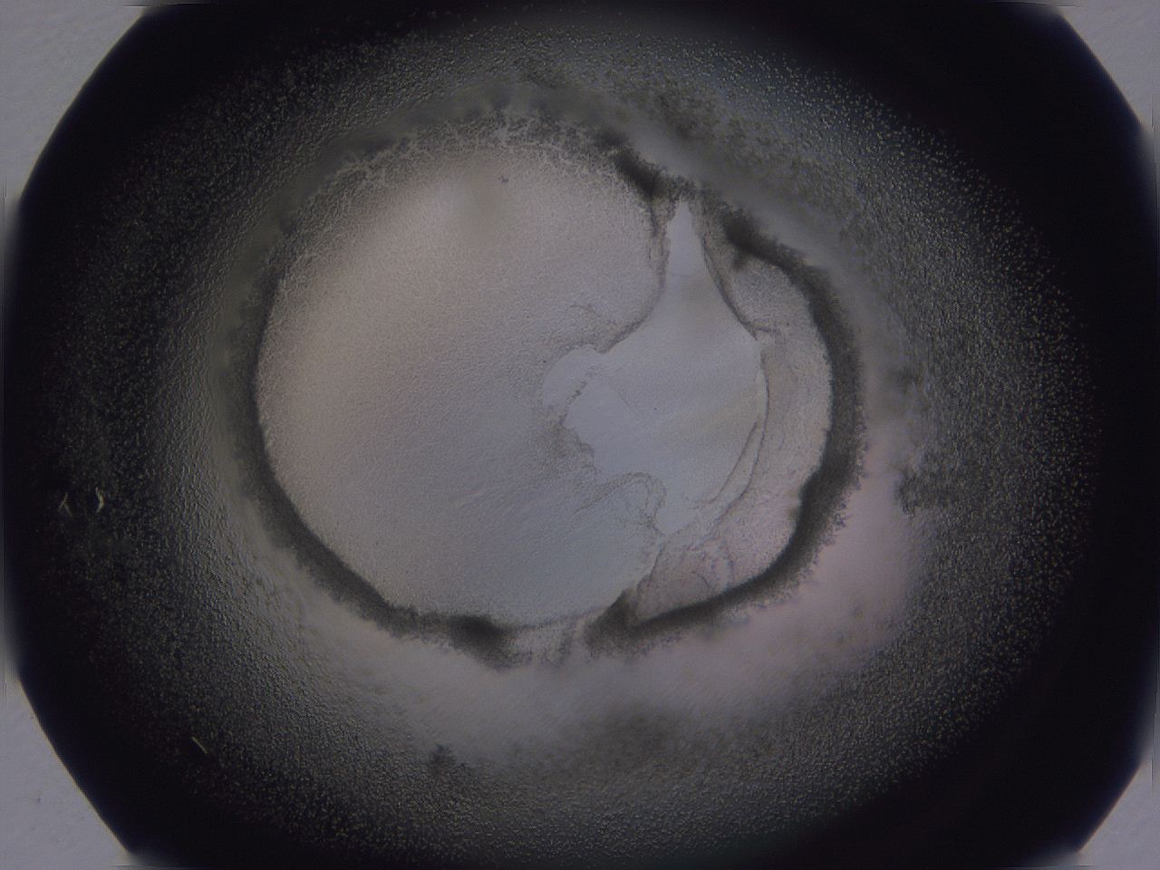 0508_H12_ImagerDefaults_9.jpg