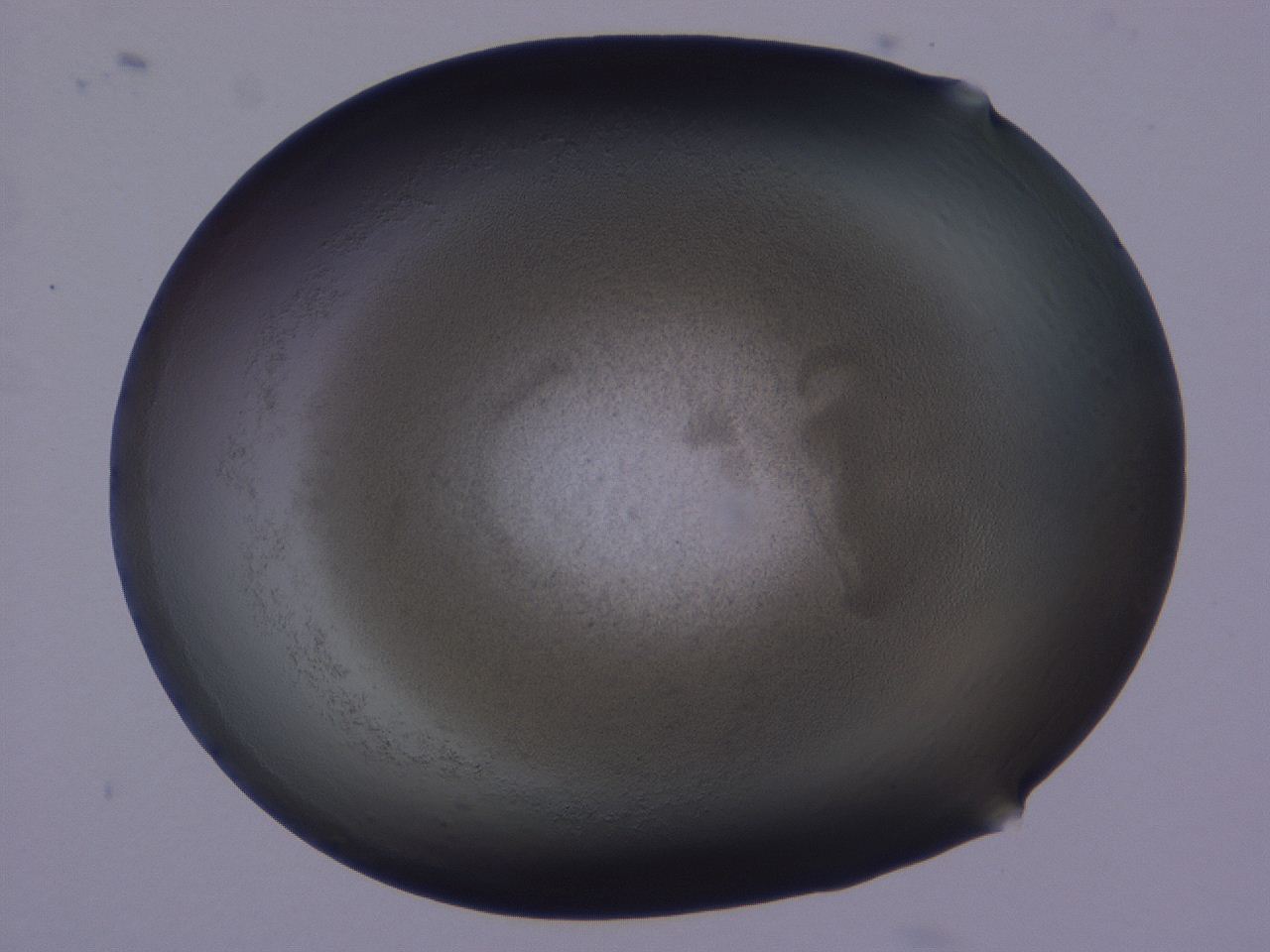 0509_D2_ImagerDefaults_3.jpg