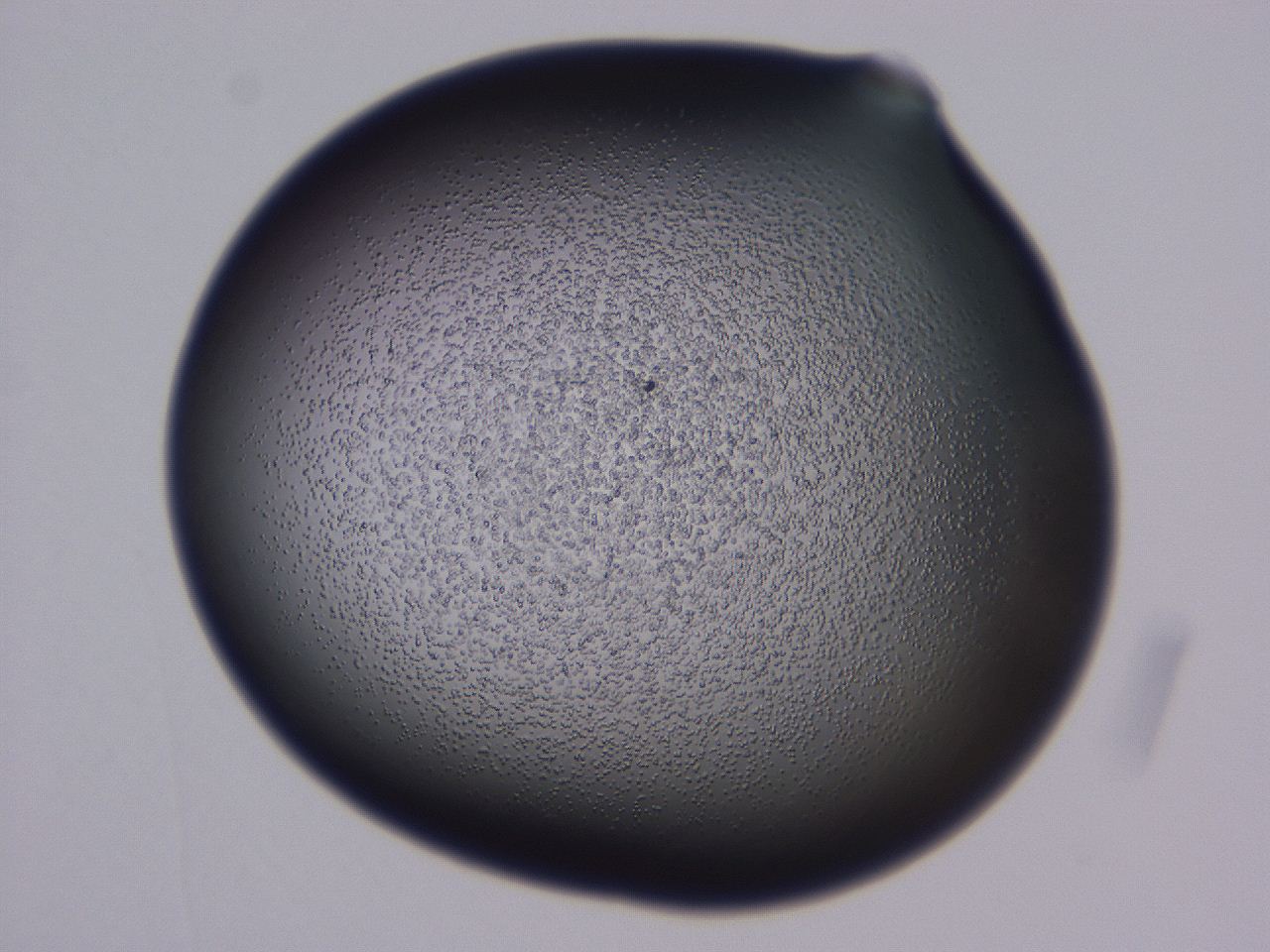 0509_D3_ImagerDefaults_3.jpg