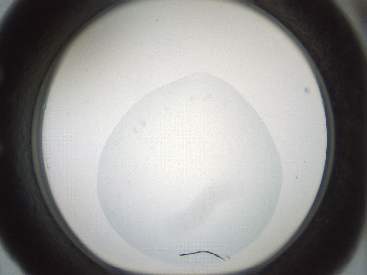 folderID248_plateID3248_batchID18361_wellNum53_profileID1_d1_r285675_ef.jpg