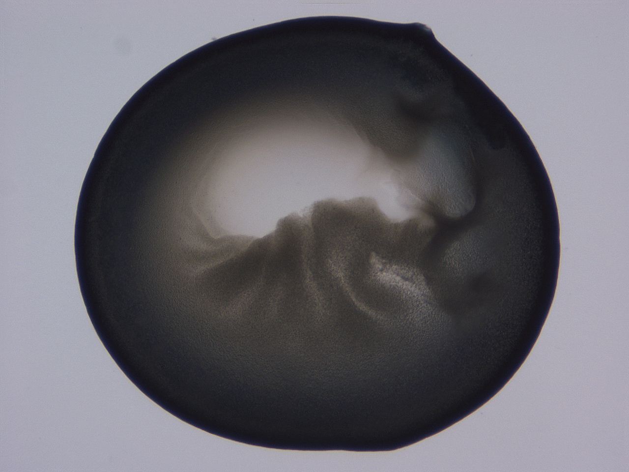 0509_D7_ImagerDefaults_3.jpg