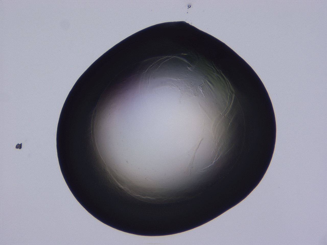 0509_D9_ImagerDefaults_0.jpg