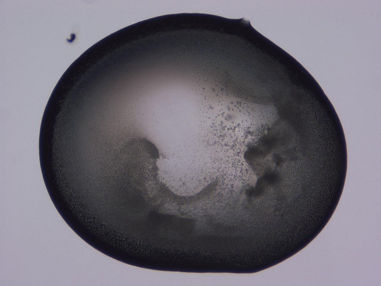 0509_D10_ImagerDefaults_3.jpg