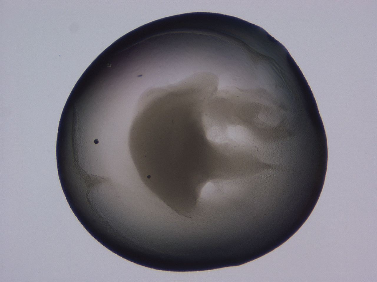 0509_D11_ImagerDefaults_3.jpg