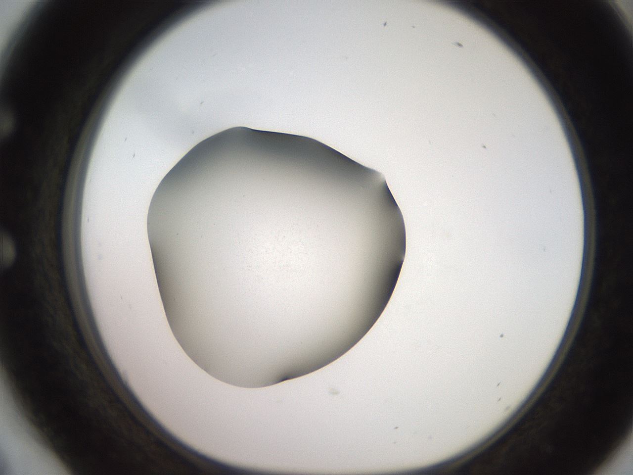 folderID249_plateID2249_batchID10801_wellNum54_profileID1_d1_r156328_ef.jpg