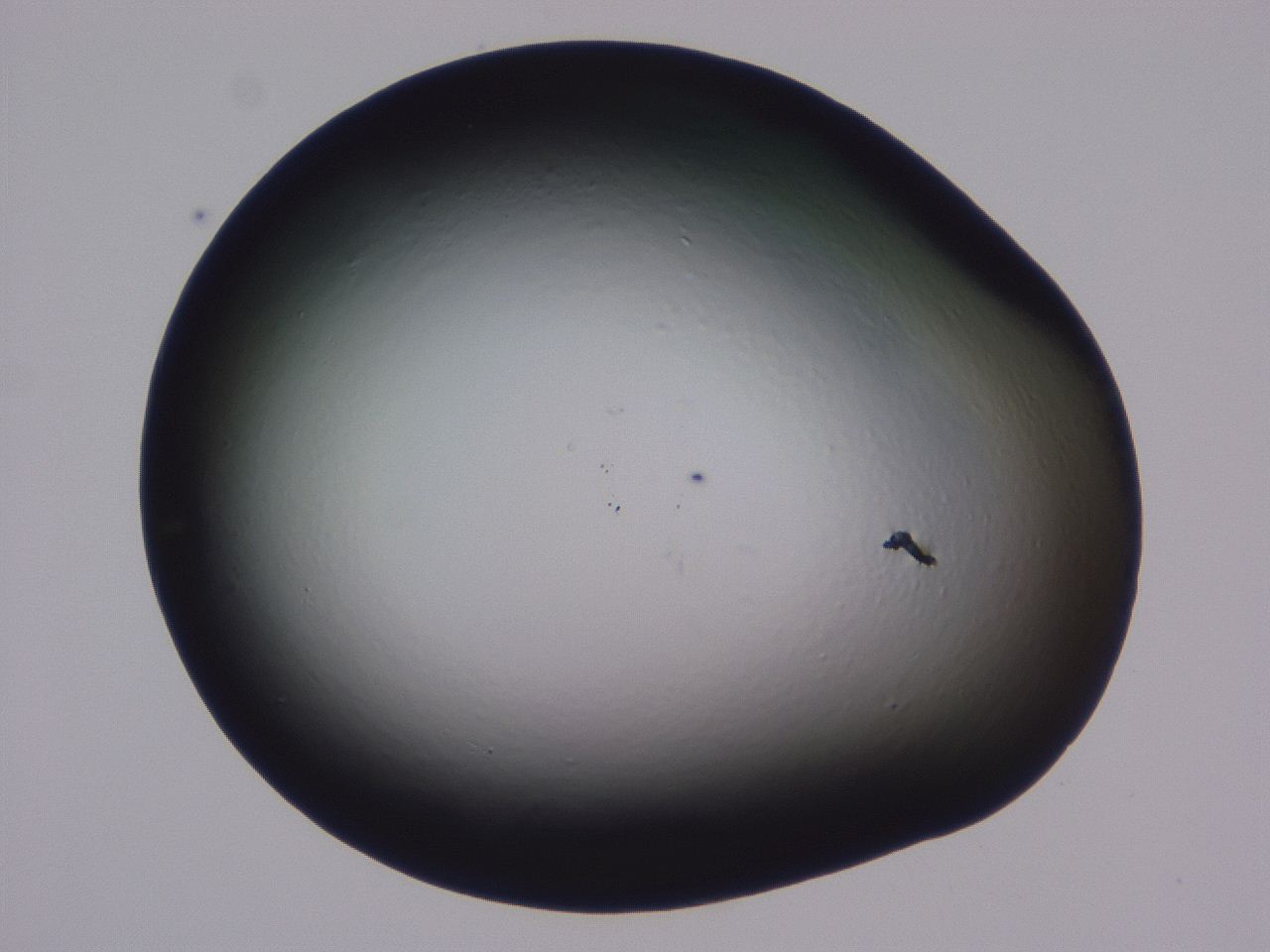 0509_E1_ImagerDefaults_0.jpg