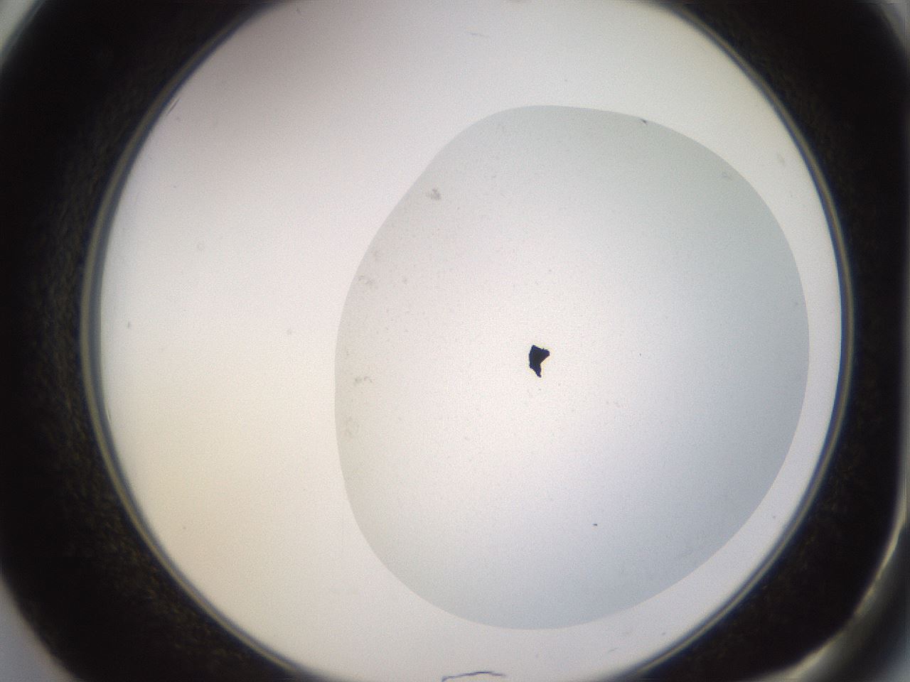 folderID249_plateID3249_batchID18410_wellNum50_profileID1_d2_r285862_ef.jpg