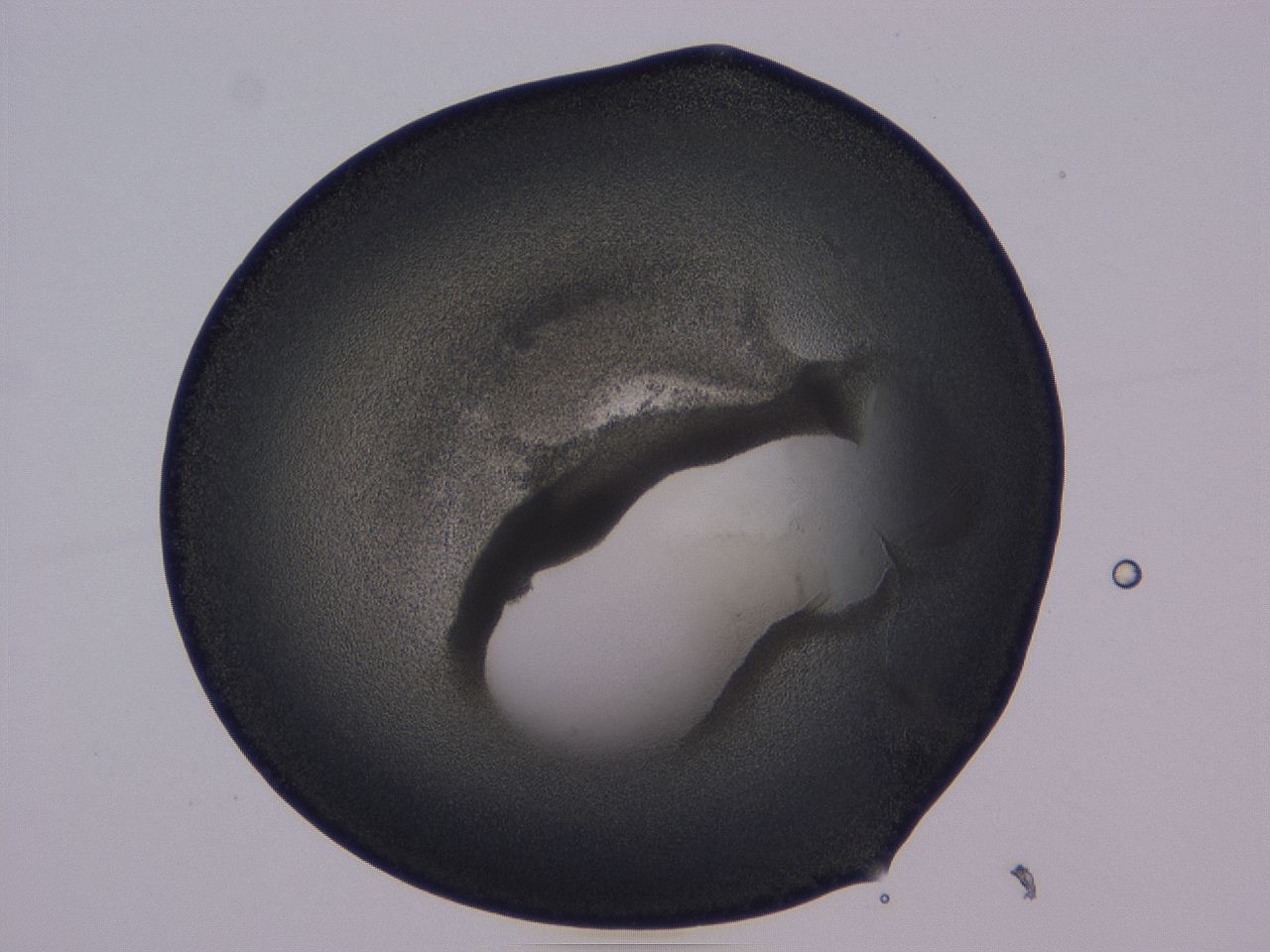 0509_C6_ImagerDefaults_3.jpg
