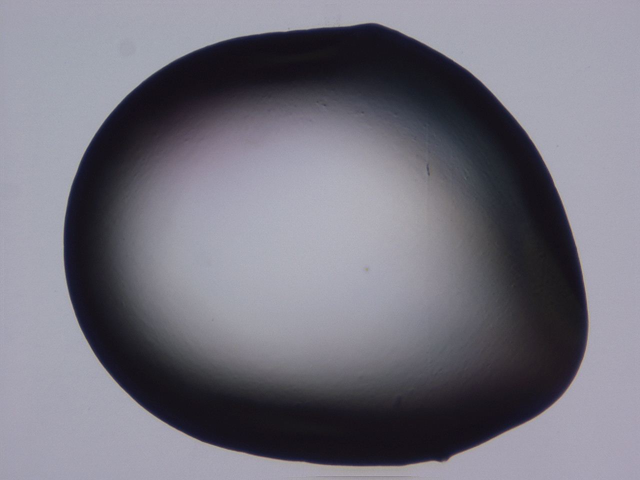 0509_C5_ImagerDefaults_0.jpg